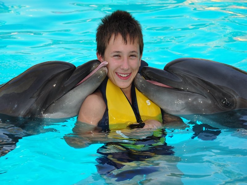 DOLPHINS SHOW & SWIMMING WTIH THE DOLPHINS