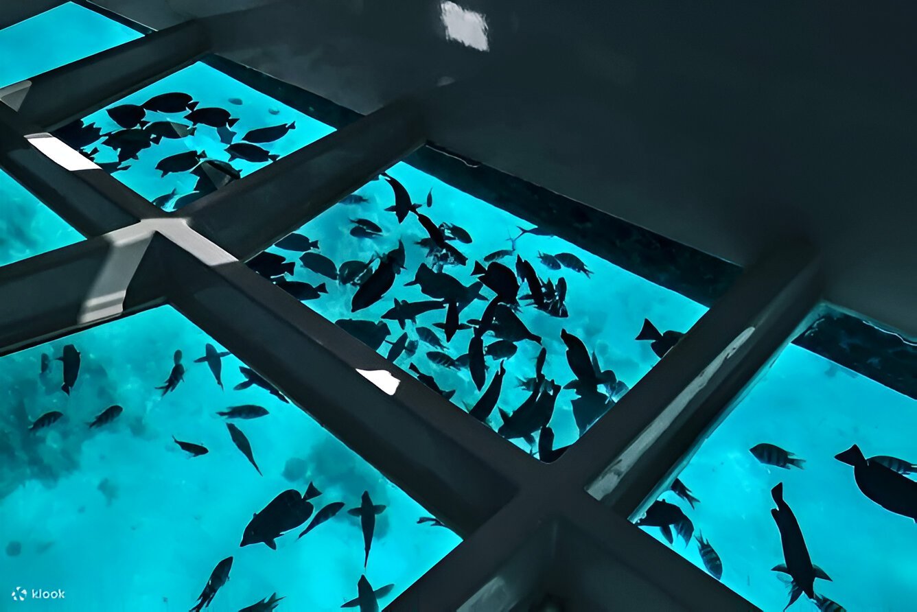 GLASS BOTTOM BOAT
